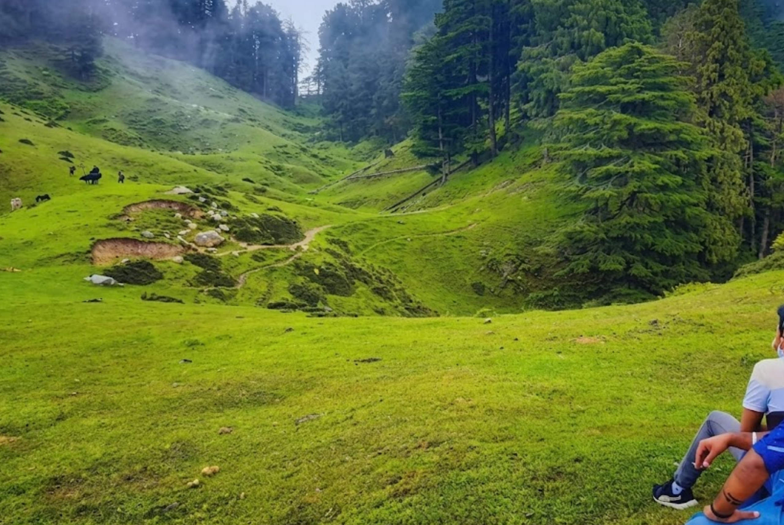 Kasol