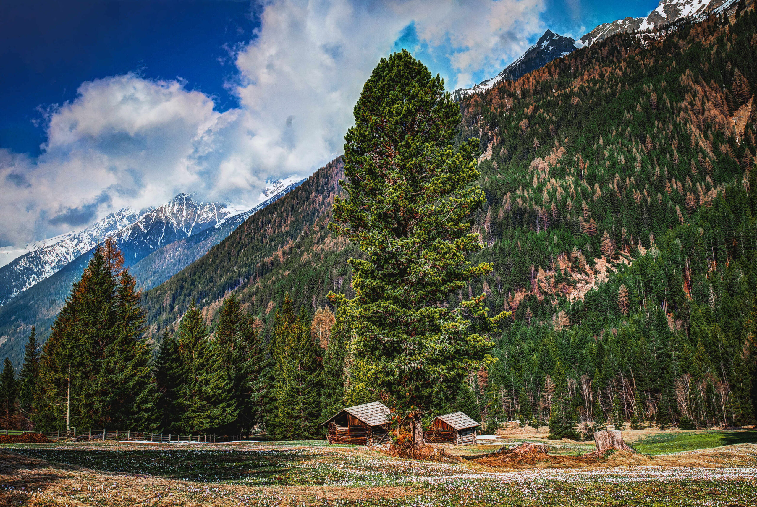Kasol